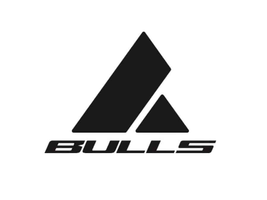 logo bulls